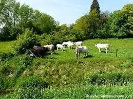 Guesthouse Zevenaar Bed & Breakfast *