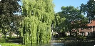 Bed & Breakfast Guesthouse Zevenaar Zevenaar